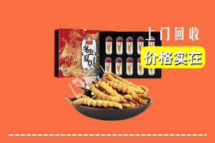 来凤县回收冬虫夏草