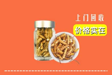 来凤县回收散虫草