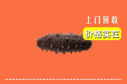 来凤县回收海参